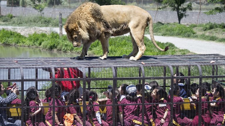 leone zoo